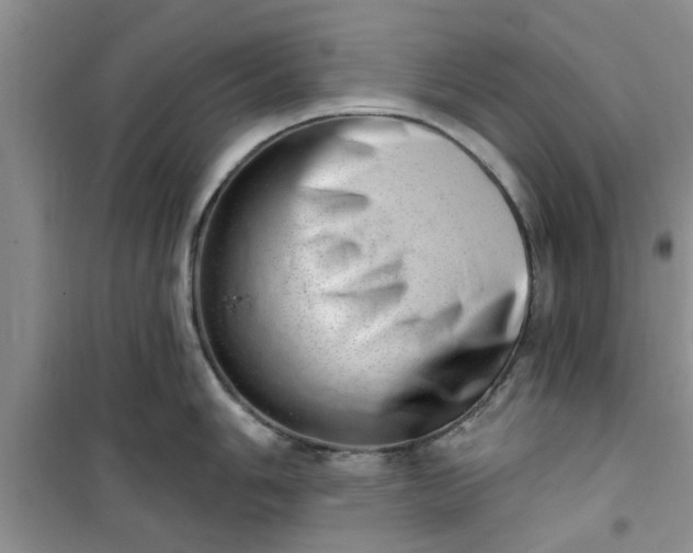X0000100961006200807081237
