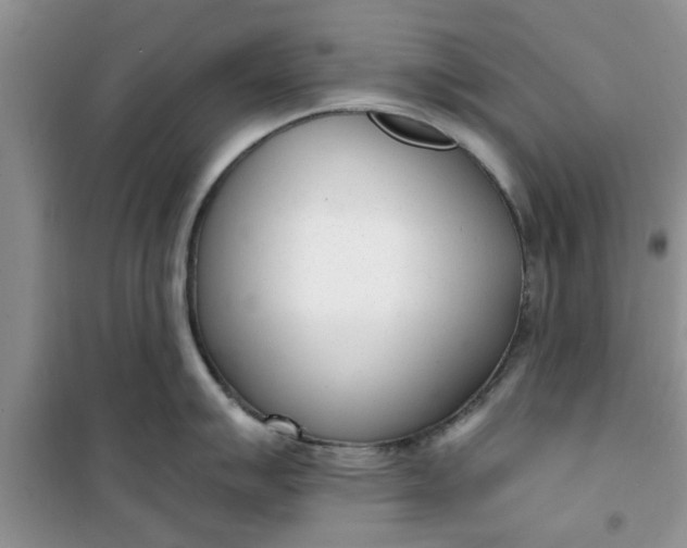X0000100961007200807081237