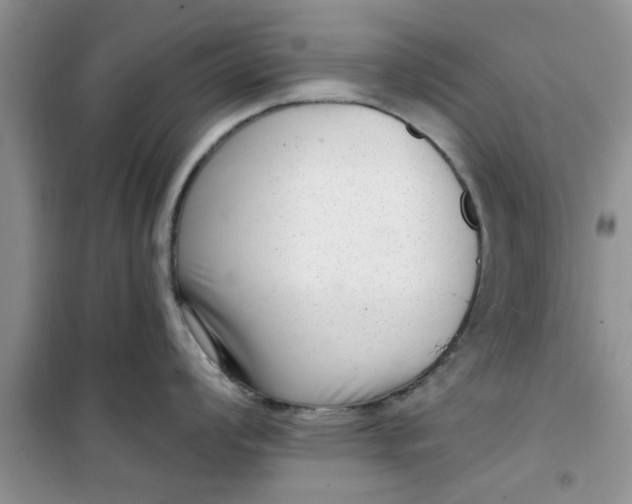 X0000100961008200807081237