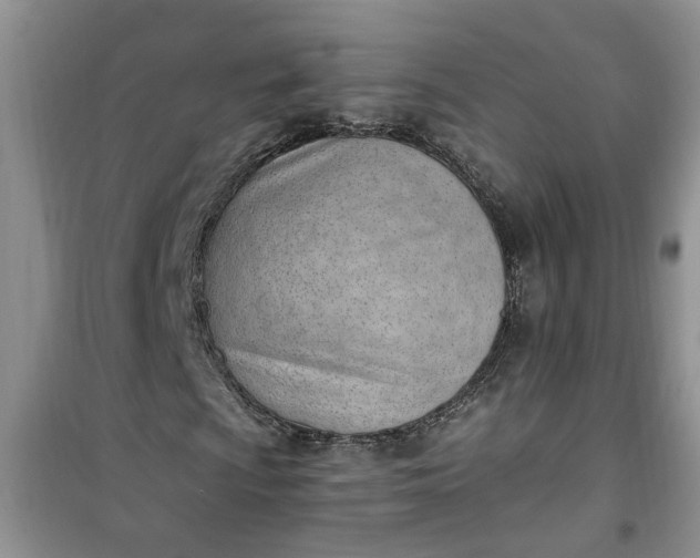 X0000100961009200807081236