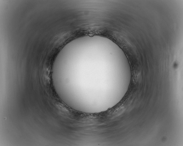 X0000100961010200807081236