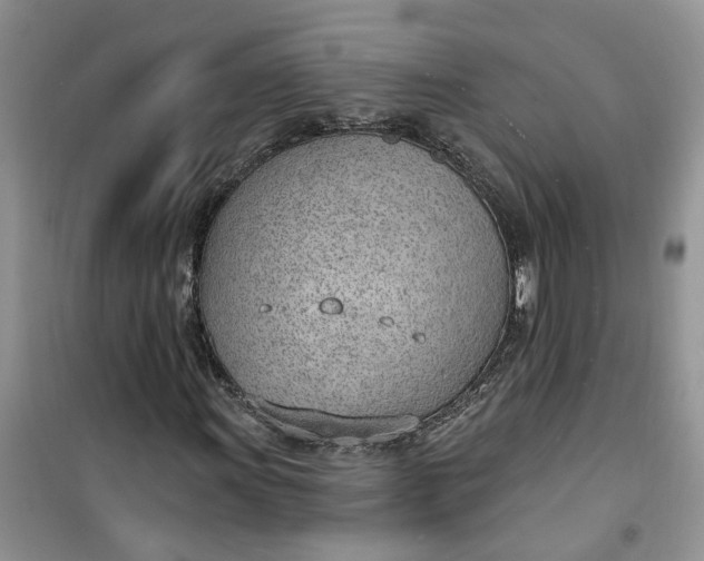 X0000100961011200807081236