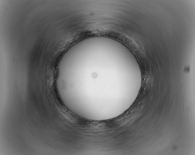 X0000100961012200807081236