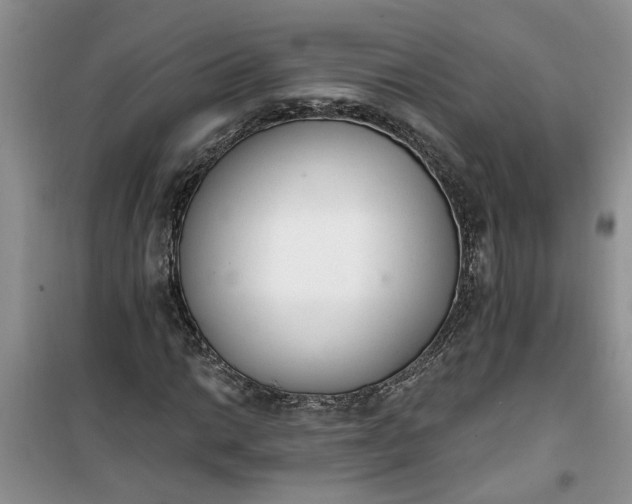 X0000100961014200807081237