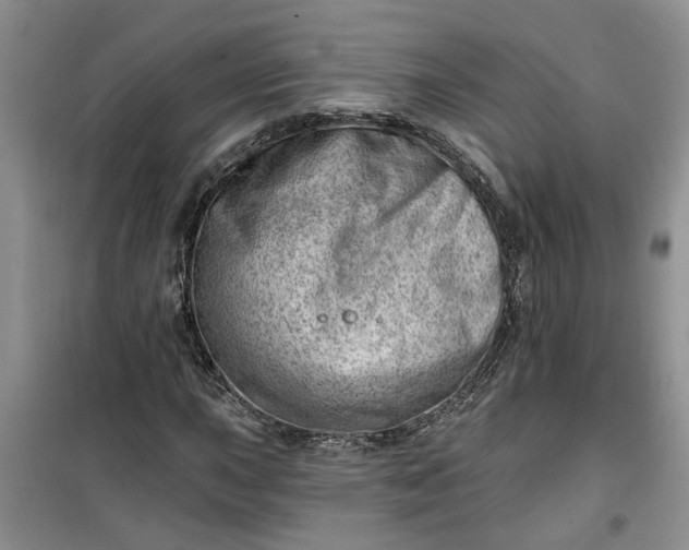 X0000100961015200807081237