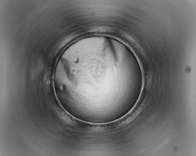 X0000100961017200807081237