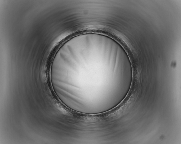 X0000100961018200807081237