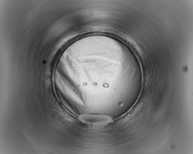 X0000100961019200807081237