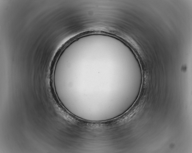 X0000100961020200807081237