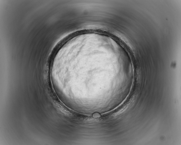 X0000100961021200807081237