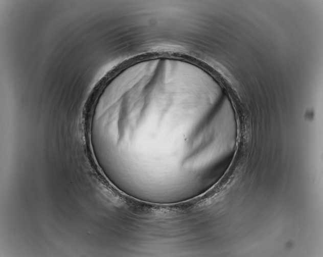 X0000100961022200807081237