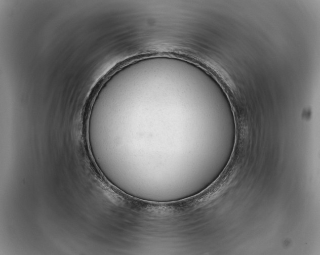 X0000100961023200807081237