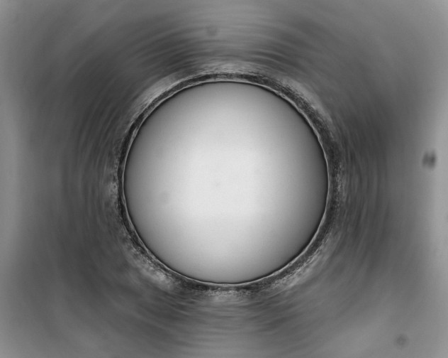 X0000100961025200807081237