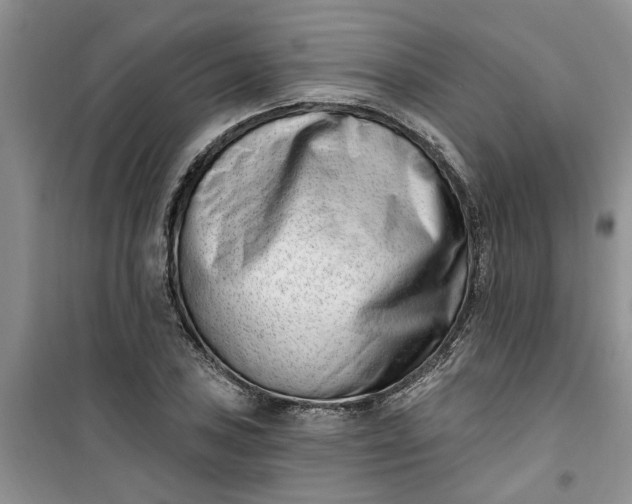 X0000100961027200807081237
