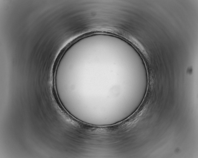 X0000100961028200807081237