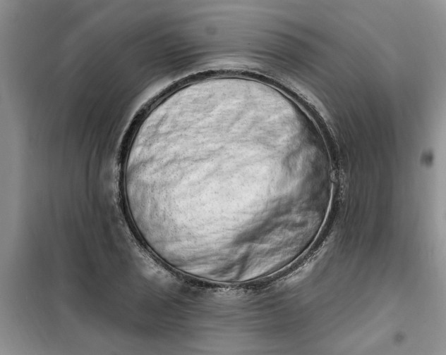 X0000100961029200807081237