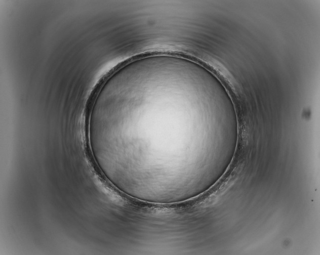 X0000100961030200807081237