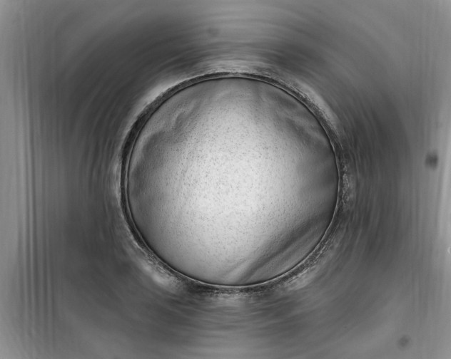 X0000100961035200807081237