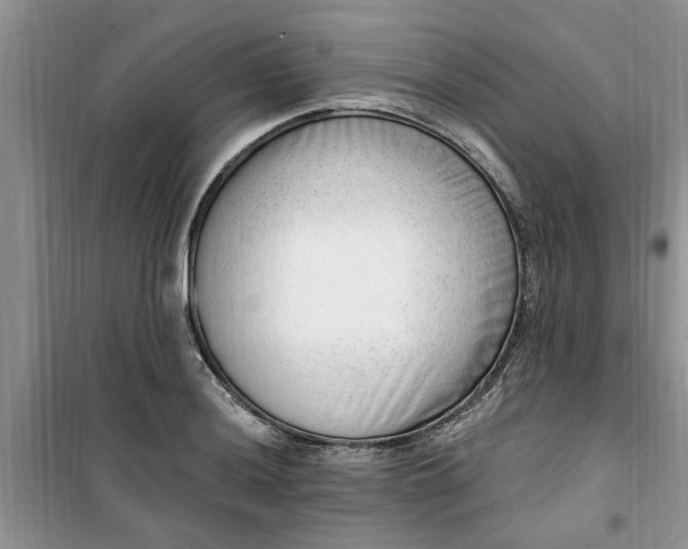 X0000100961036200807081237