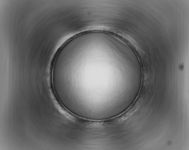 X0000100961038200807081237