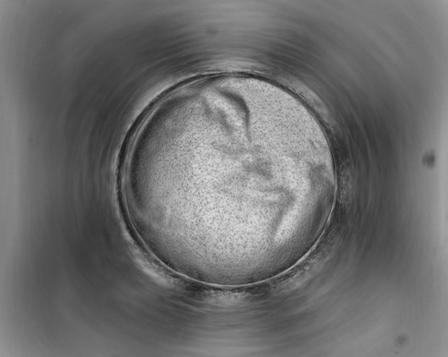 X0000100961039200807081237