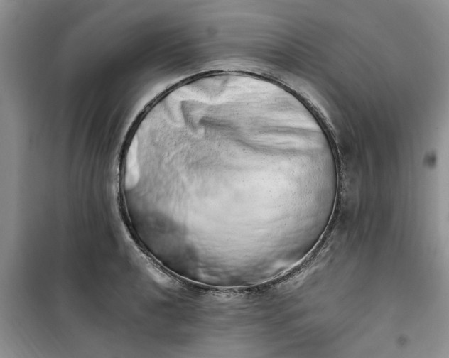 X0000100961040200807081237
