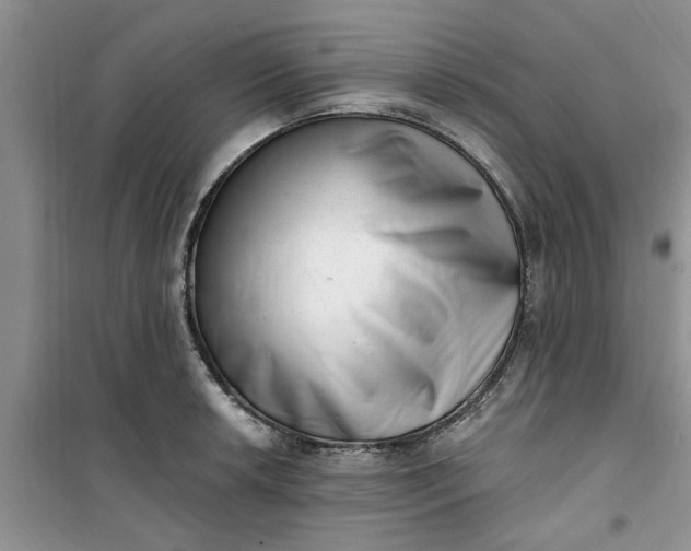 X0000100961042200807081237