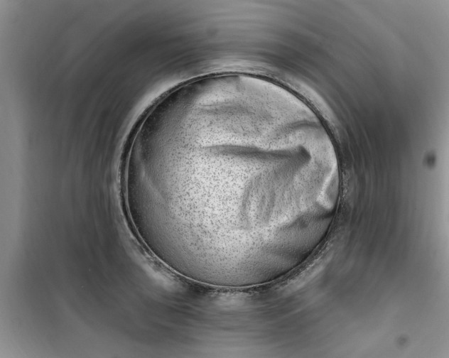 X0000100961043200807081237