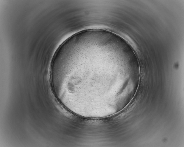X0000100961044200807081237