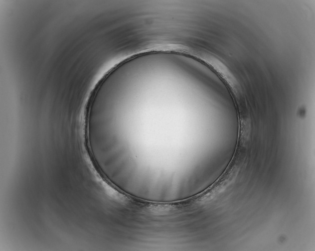 X0000100961046200807081237