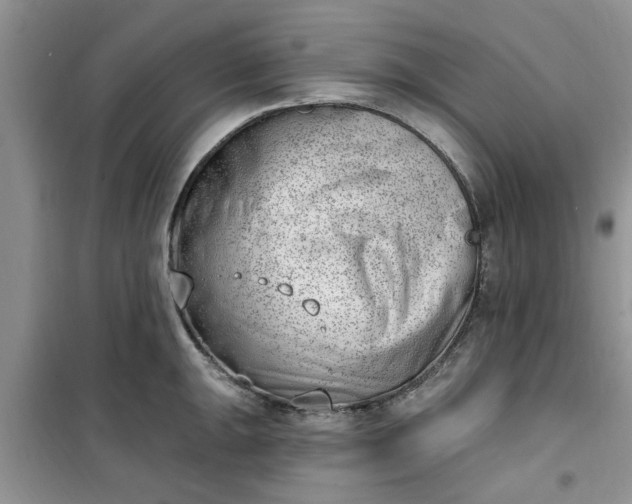X0000100961047200807081237