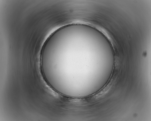 X0000100961048200807081237