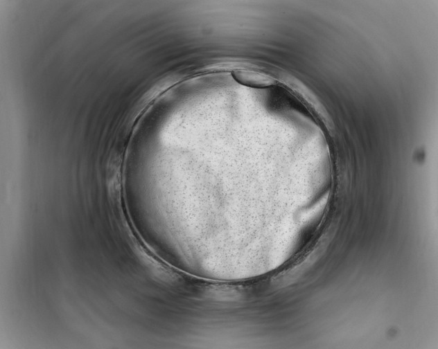 X0000100961049200807081237