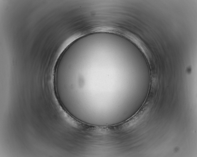 X0000100961050200807081237
