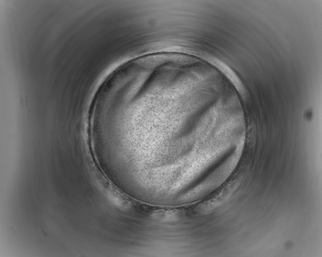 X0000100961051200807081237