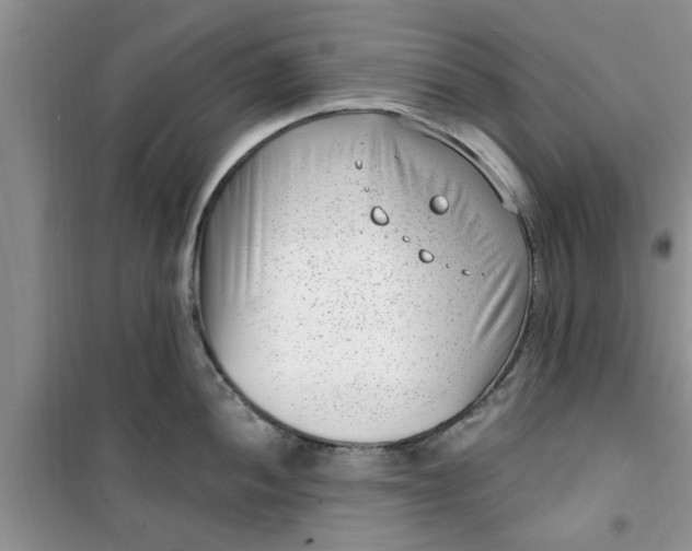X0000100961052200807081237