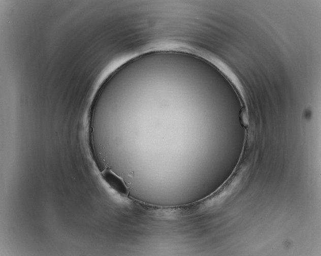 X0000100961053200807081237