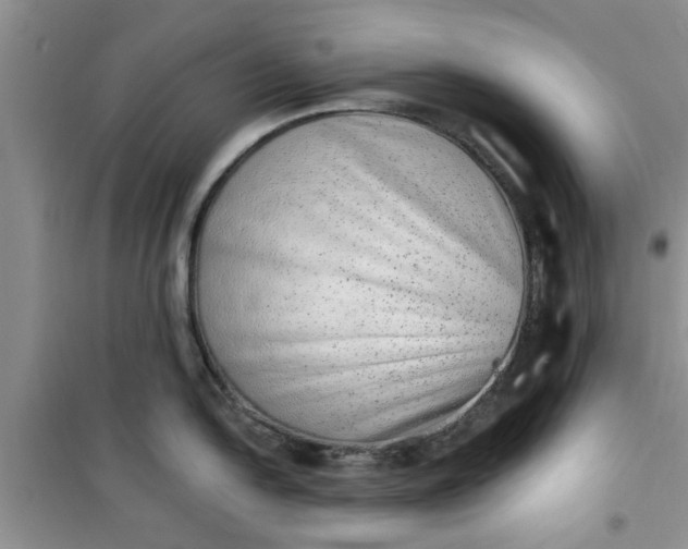 X0000100961054200807081237