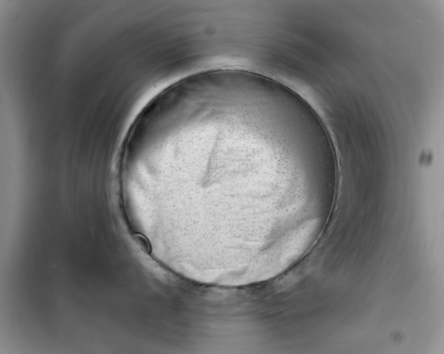 X0000100961056200807081237