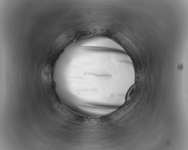 X0000100961058200807081236