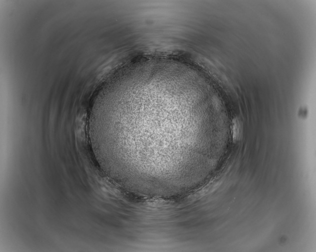 X0000100961059200807081236