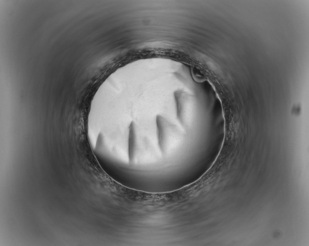 X0000100961062200807081236