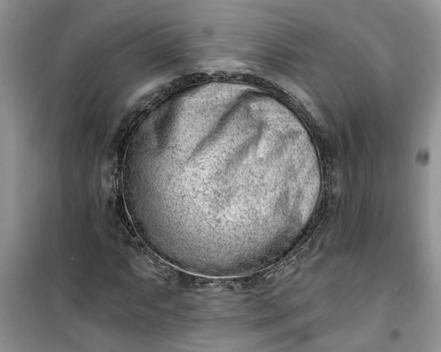 X0000100961063200807081236