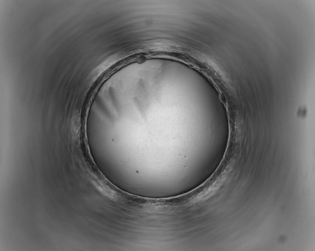 X0000100961065200807081236