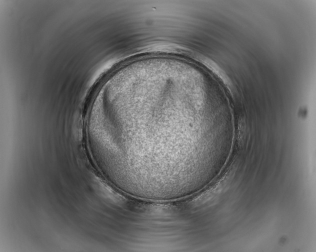 X0000100961067200807081236