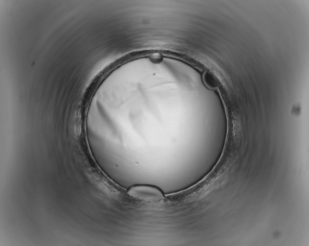 X0000100961069200807081236