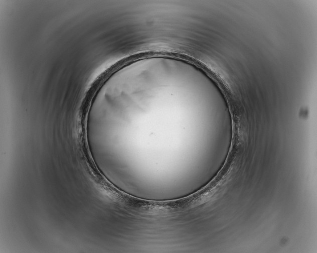X0000100961070200807081236