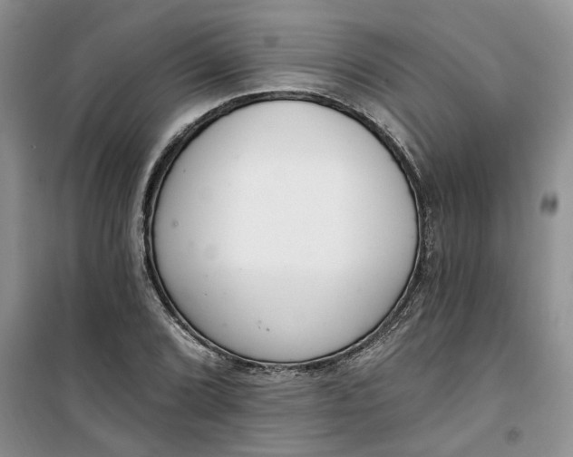 X0000100961072200807081236