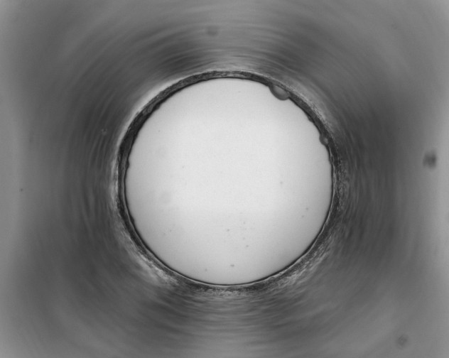 X0000100961076200807081236