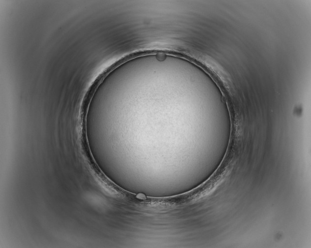 X0000100961077200807081236